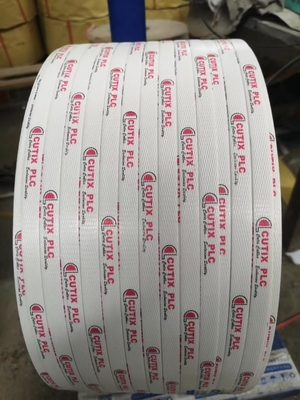 Μοναδική βίδα 4 κοιλότητα PP Strap Extrusion Line PP Strap Making Machine PP Strap Extrusion Line για φωτεινή λάμψη και καλό ελ